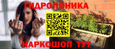 мяу мяу мука Иваново