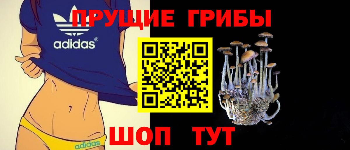 Псилоцибиновые грибы ЛСД  Вход с VPN  Зерноград 