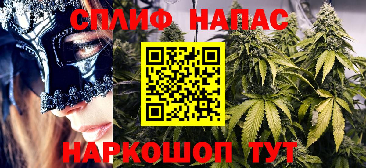 Каннабис марихуана Зерноград